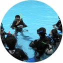Padi assistant instructor